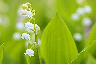 《天堂岛杀手》免费大型更新上线 光线追踪、Steam成就等